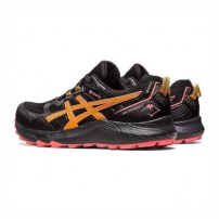 Кросівки для бігу жіночі Asics GEL-SONOMA 7 GTX Black/Sandstorm